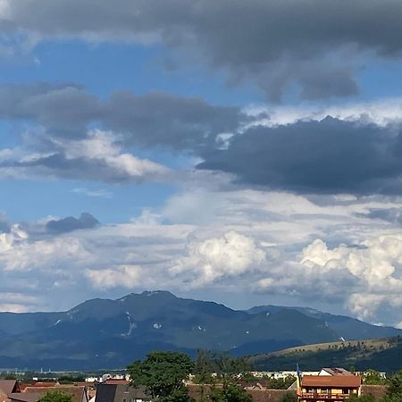 Vila Hora Craiului Zărneşti Exterior foto